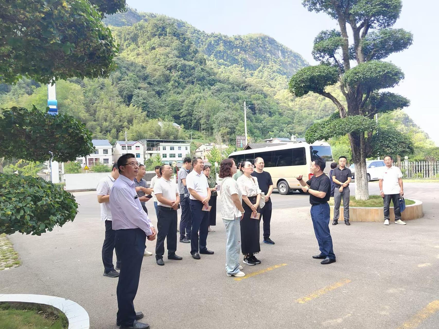 在鄂全国人大代表一行莅临美獅薈澳門美高梅美獅薈澳門美高梅调研